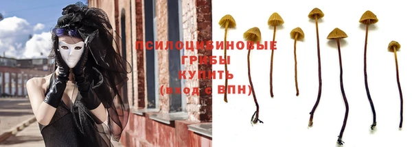 apvp Алзамай